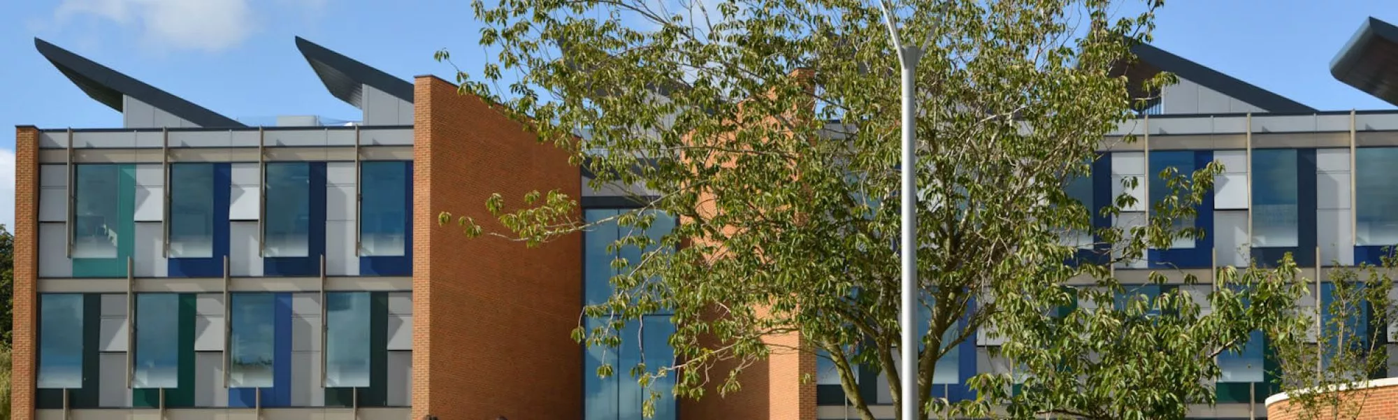 University Of Sussex